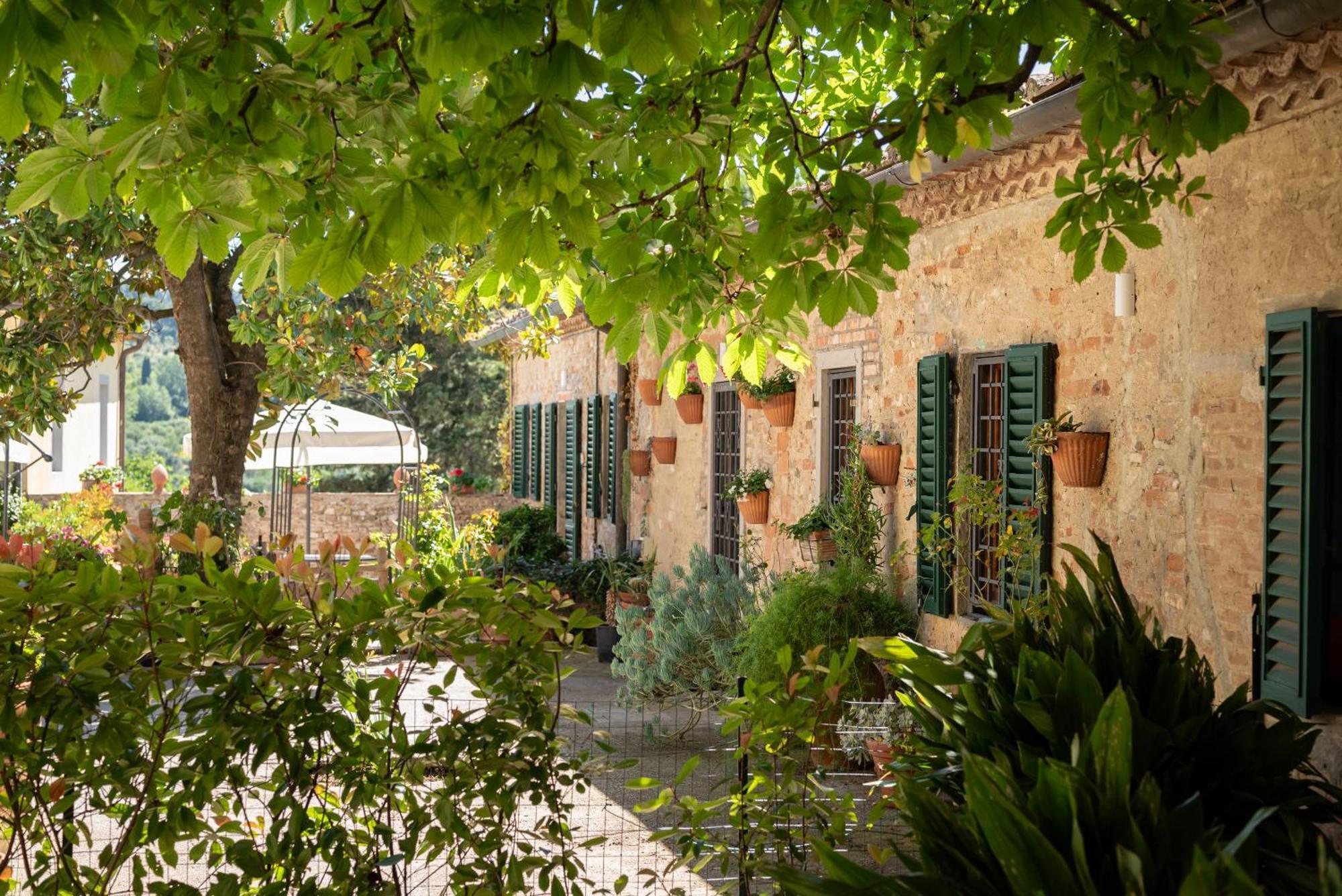 Agriturismo Bio Fattoria Bacio Certaldo Exterior foto